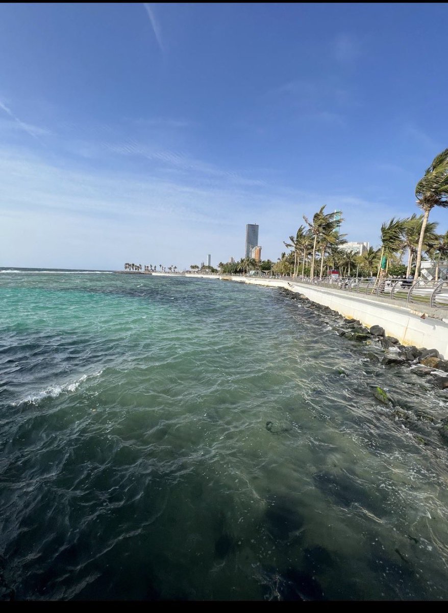 تـركي بـن عبـداللّـه tweet media