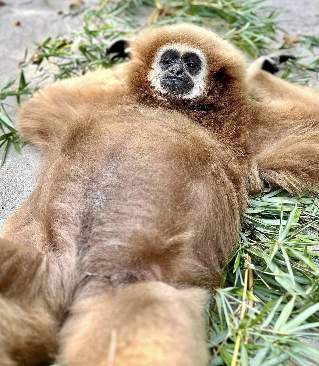 EMP 🖤 tweet media