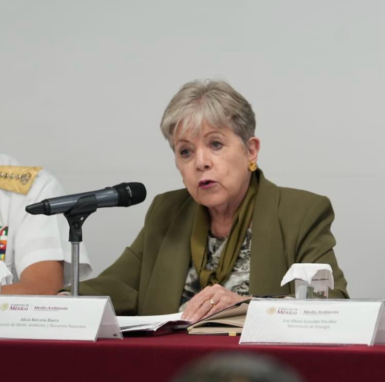 Luz Elena González Escobar tweet media