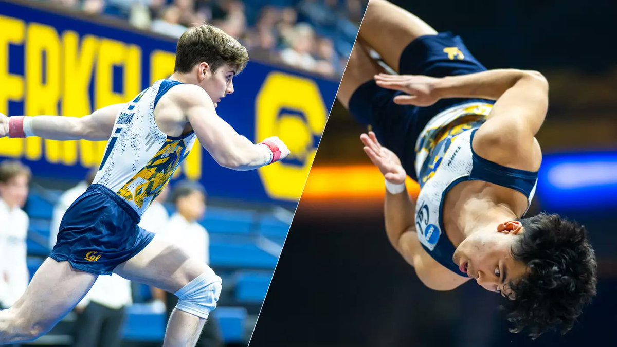 Tell The Whole Damn World! tweet media