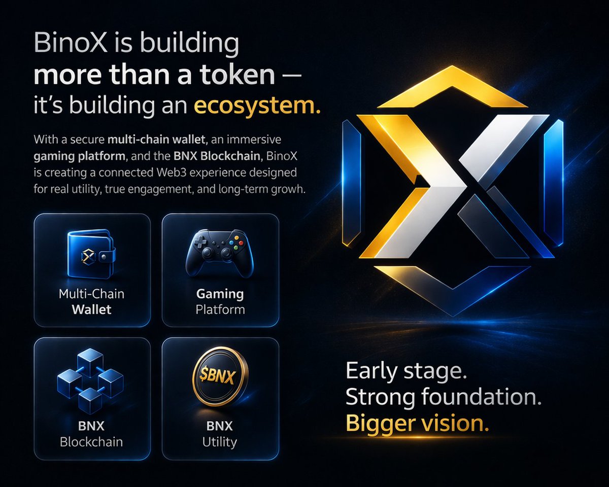 BINOX TOKEN tweet media