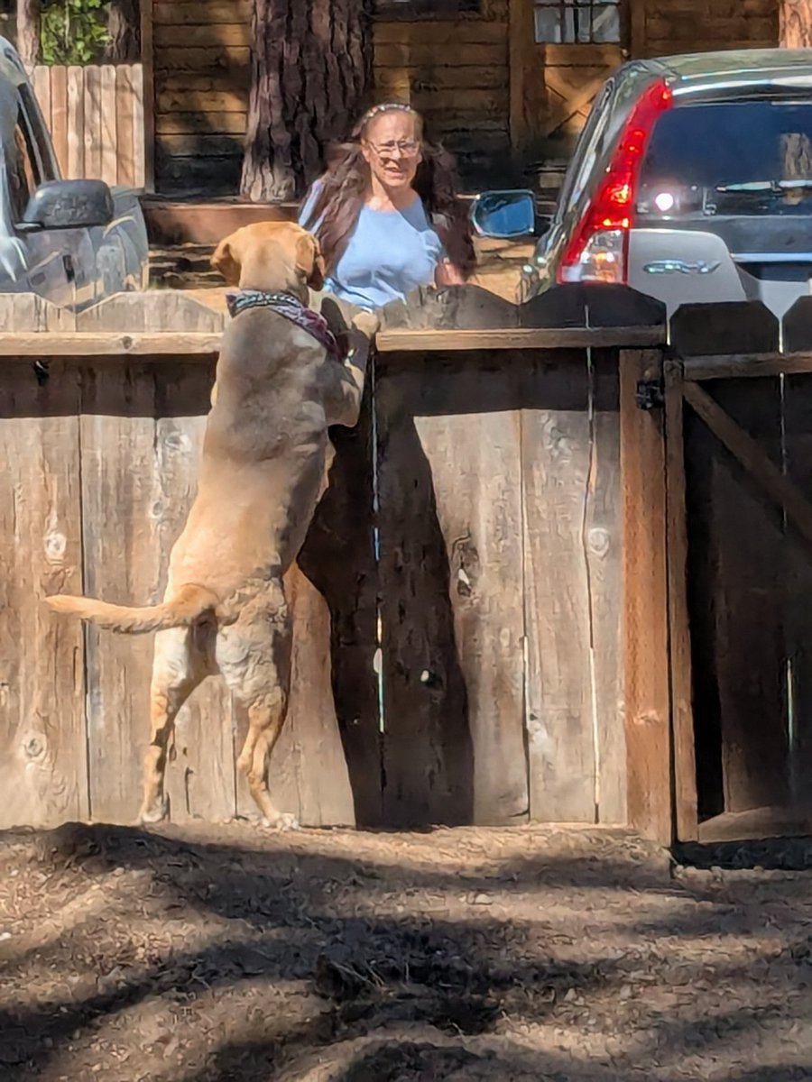 RockyRunyonRacing tweet media