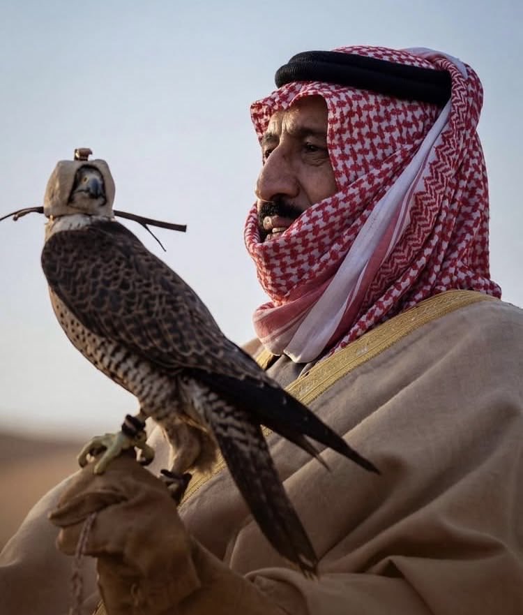 أَبـِيَّـة tweet media