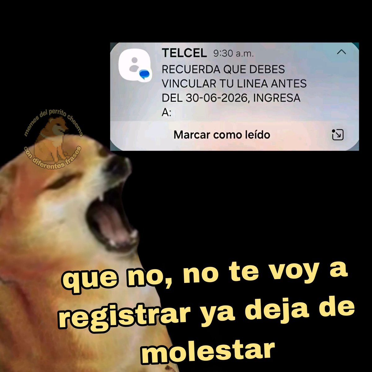 🇲🇽 México Mágico ✨ tweet media