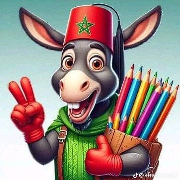 ĤãmŽæ tweet media