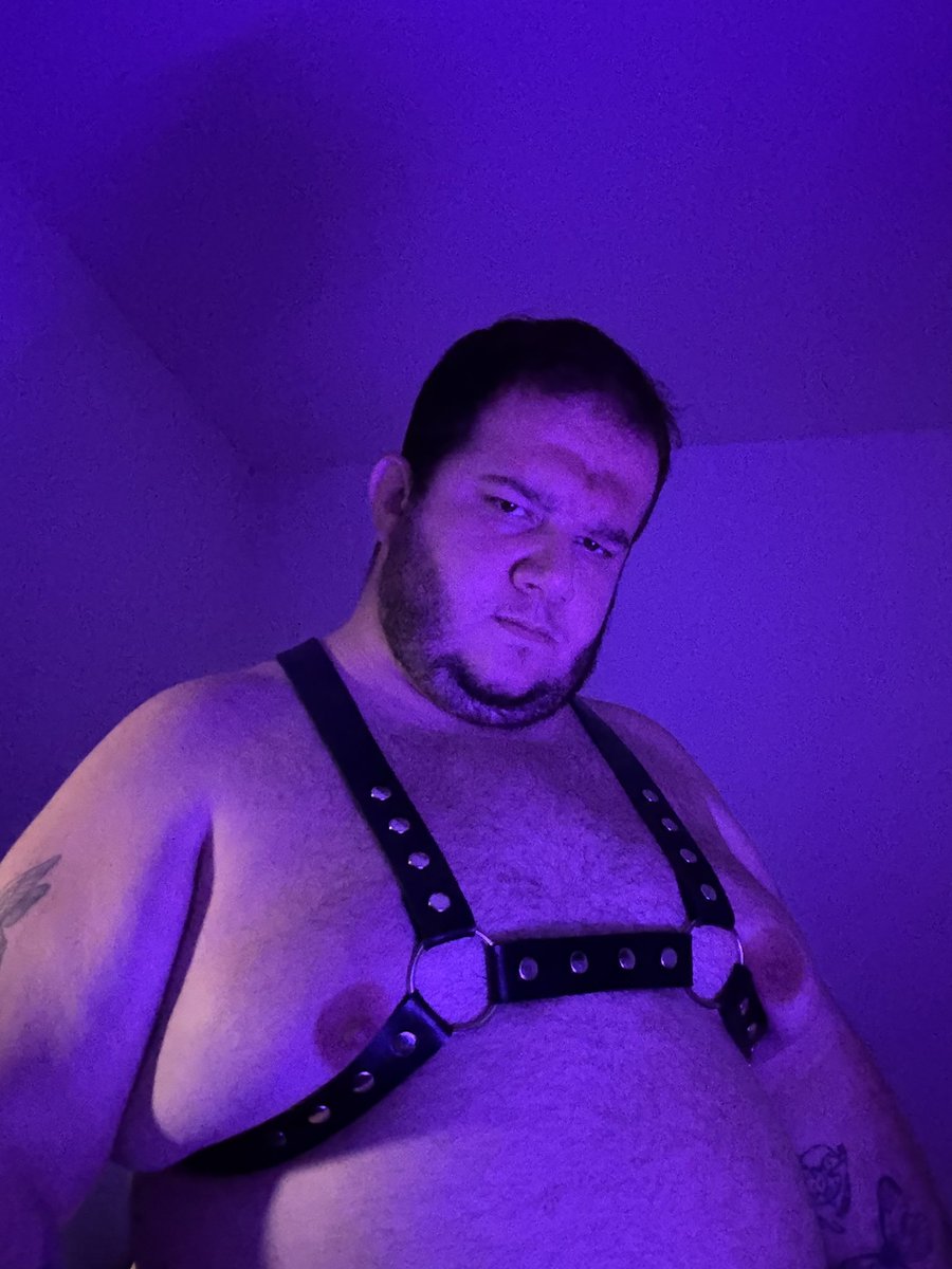 Gui | Pinku Bear tweet media