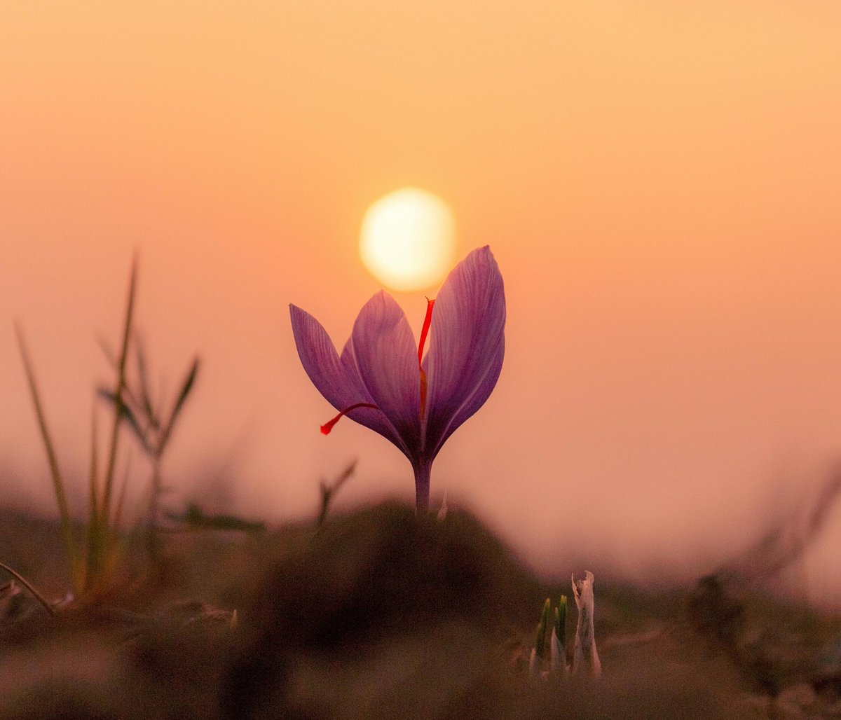 Hatice ✨ tweet media