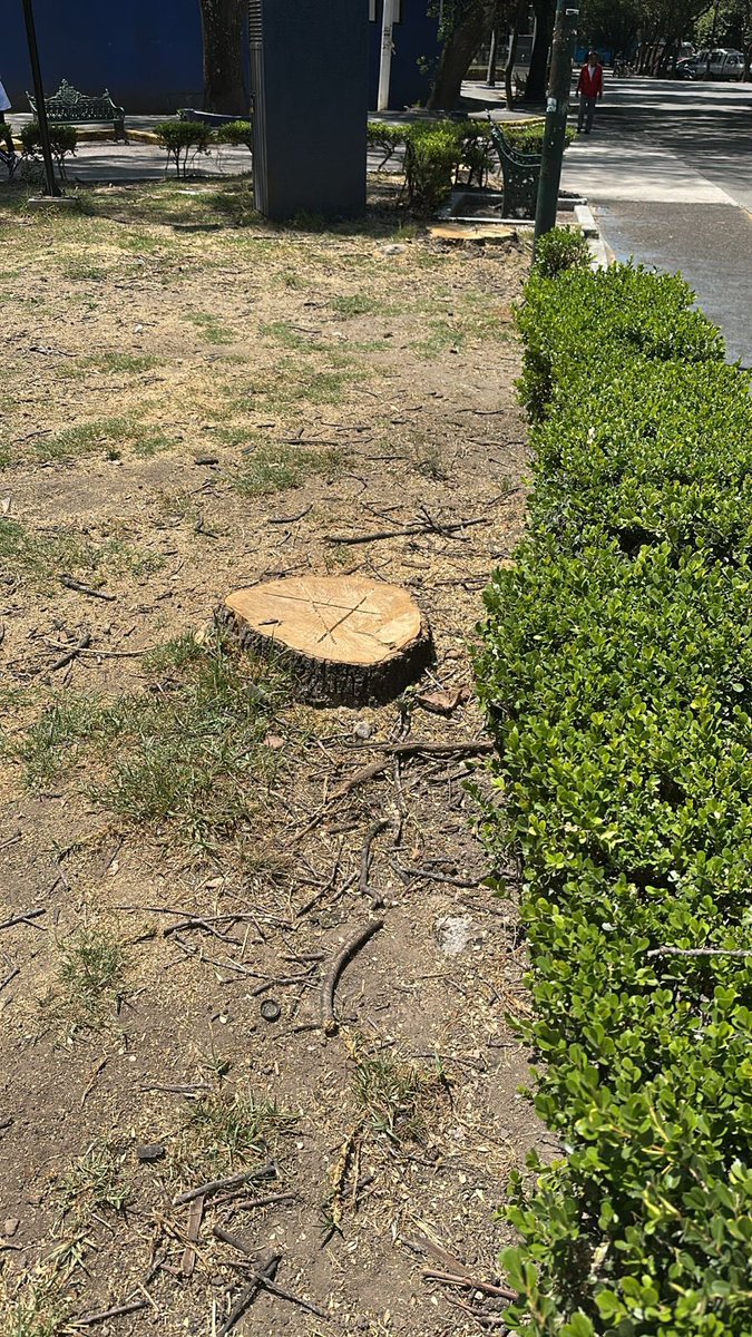 Sof Vélez tweet media