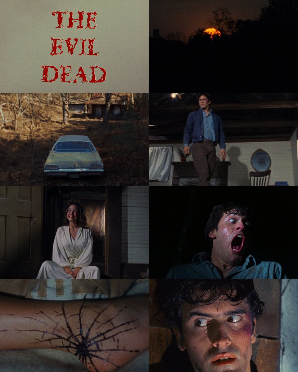 CINEMA 505 tweet media