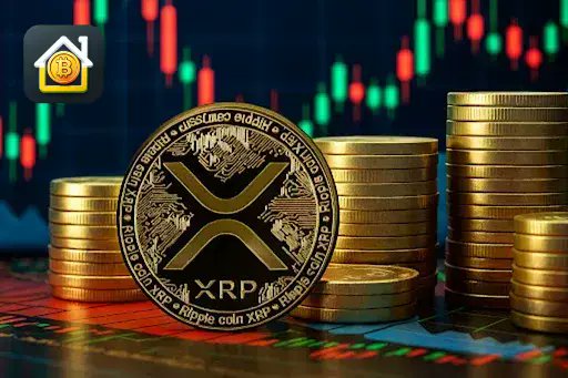 KhaneTrade - آکادمی ارز دیجیتال خانه ترید tweet media