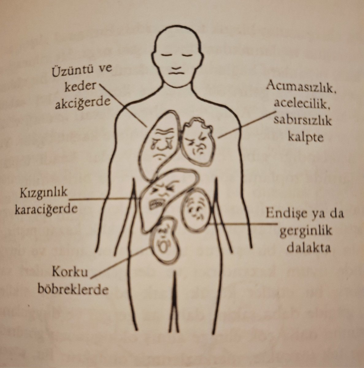 Olumsuz duyguların negatif enerji dalgaları hangi organlarımızı etkiliyor? 
 
(Torunum geldiğinde kitap okuma saati yapıyoruz. Tv, tablet, telefon kapatıyoruz. Ben de Taoizm ile ilgili bir kitap çektim kitaplığımdan, fotoyu sizin için çektim)