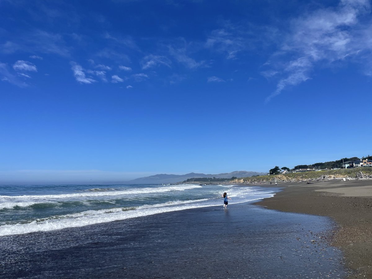 Peter Bringe tweet media