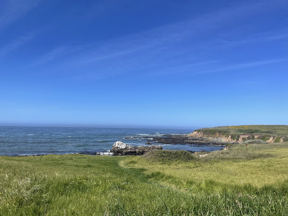 Peter Bringe tweet media