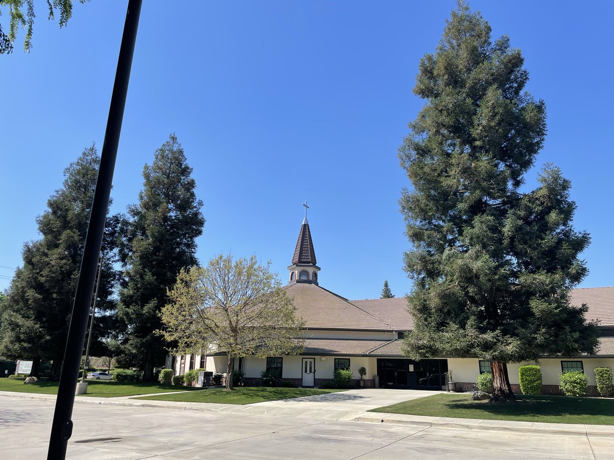 Peter Bringe tweet media