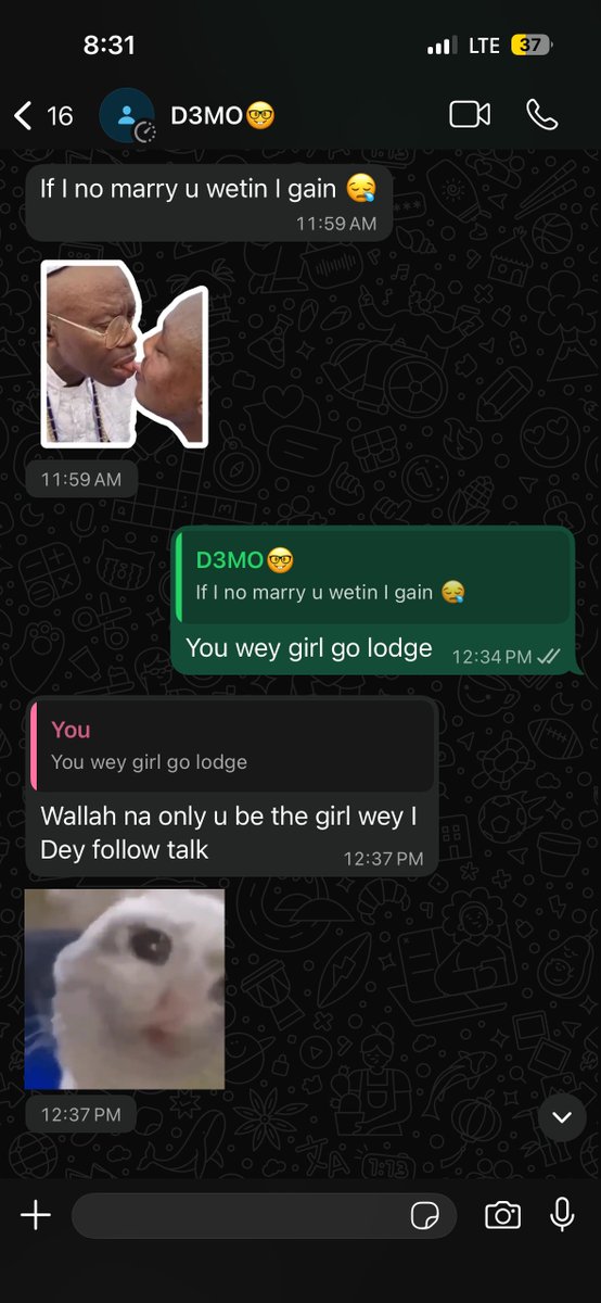 Coco🦎 tweet media