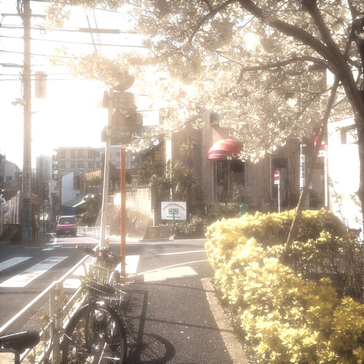 sonya ^ྀི tweet media