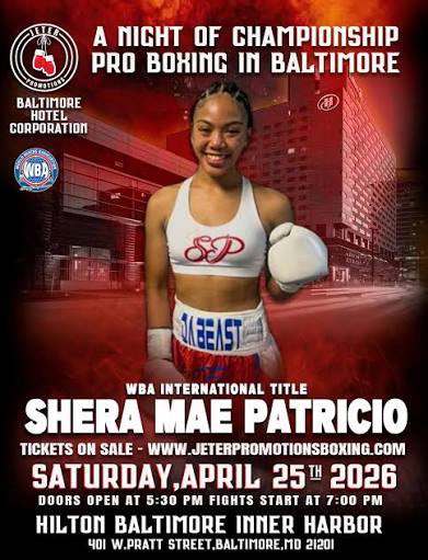 T. Stella tweet media