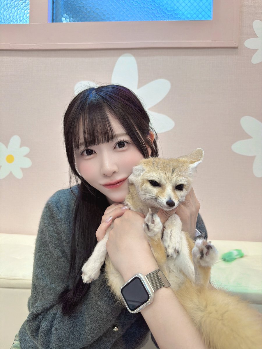 楠ろあ 【THE ORCHESTRA TOKYO】 tweet media