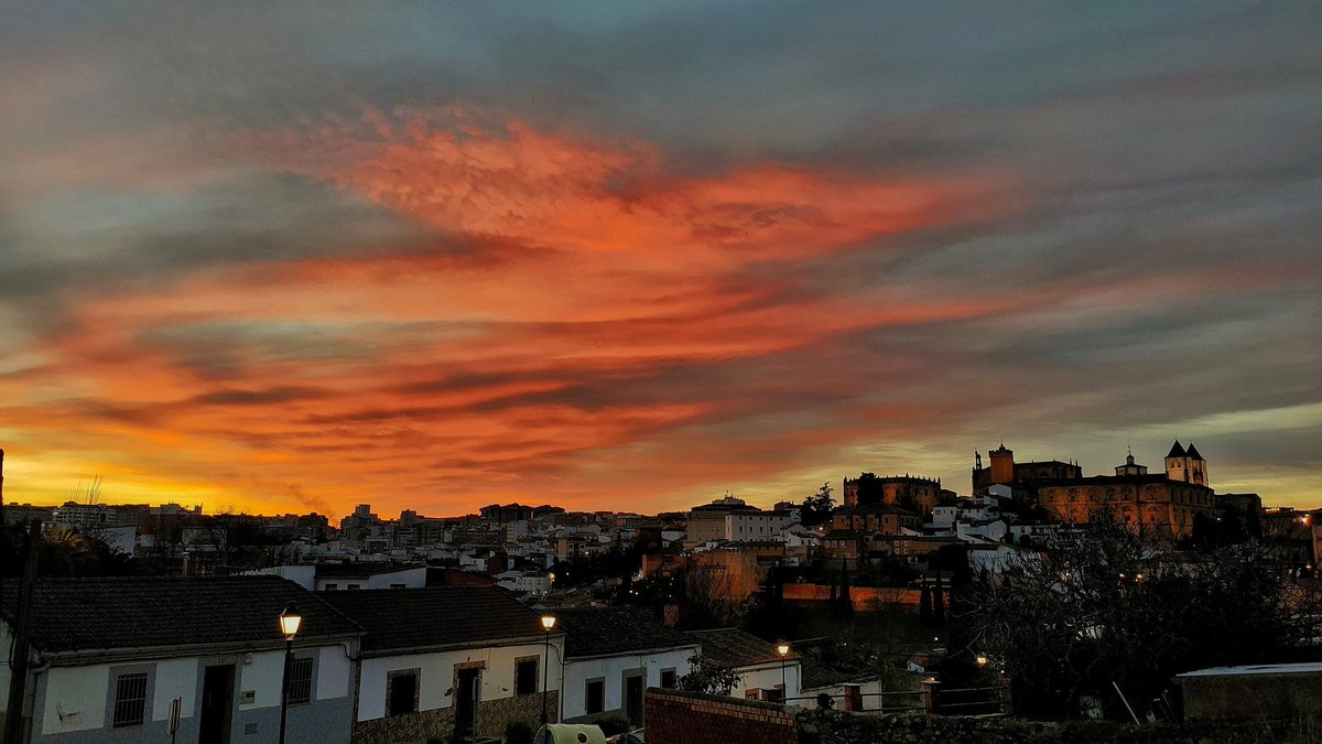 Silvia SA tweet media