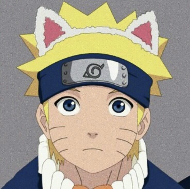 dailyhokage's tweet photo. 🐱 https://t.co/WX5FyNYPDn