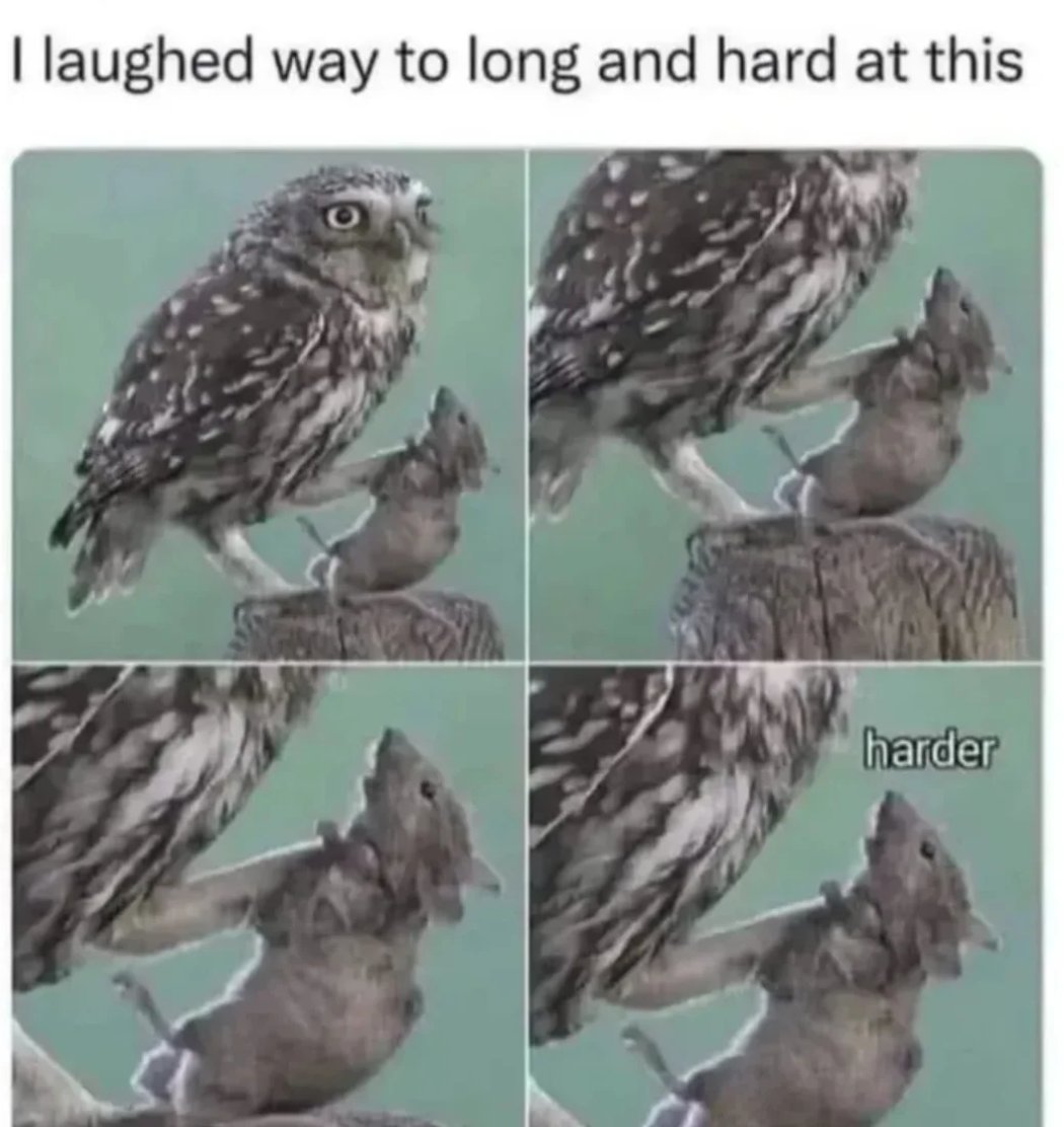 Палаючий від люті Олекса tweet media