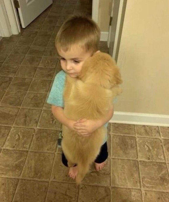 yo cuando voy a casa de alguien y tiene perro: