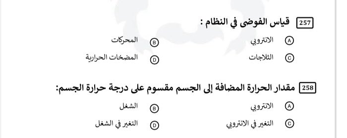 🐈‍⬛🌼 tweet media