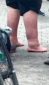 Der heilige Ofenkäse tweet media