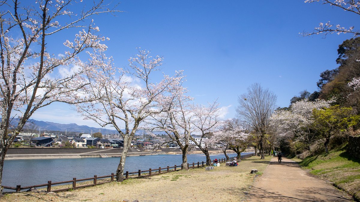 人吉球磨チャンネル tweet media