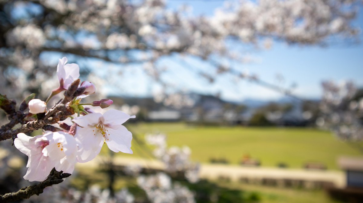 人吉球磨チャンネル tweet media