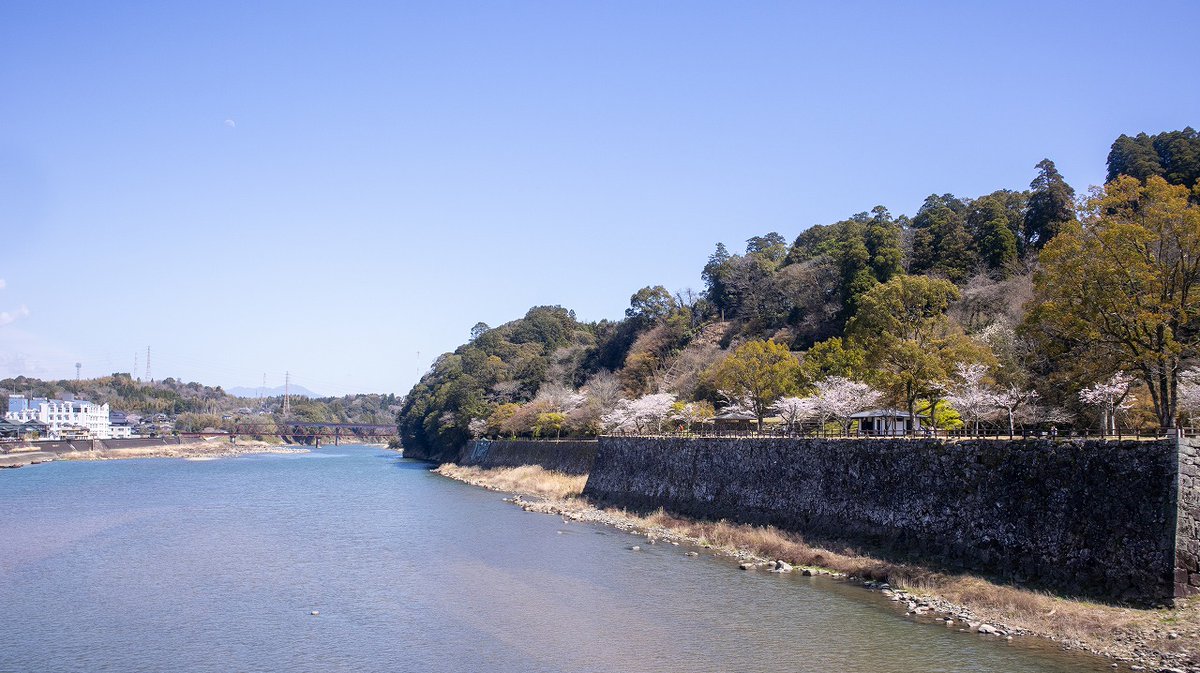 人吉球磨チャンネル tweet media