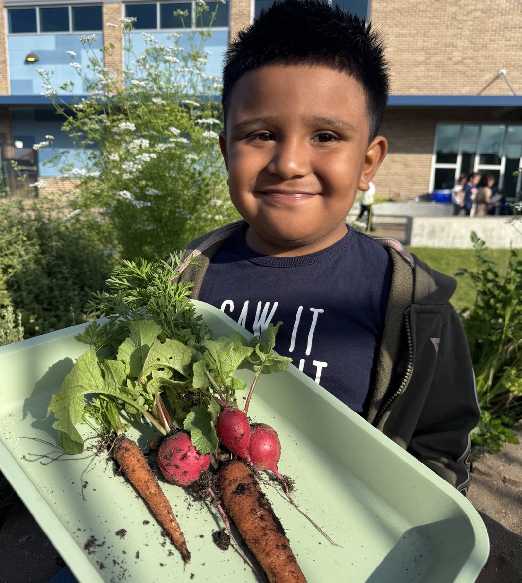 Maria Paoli-Vega tweet media