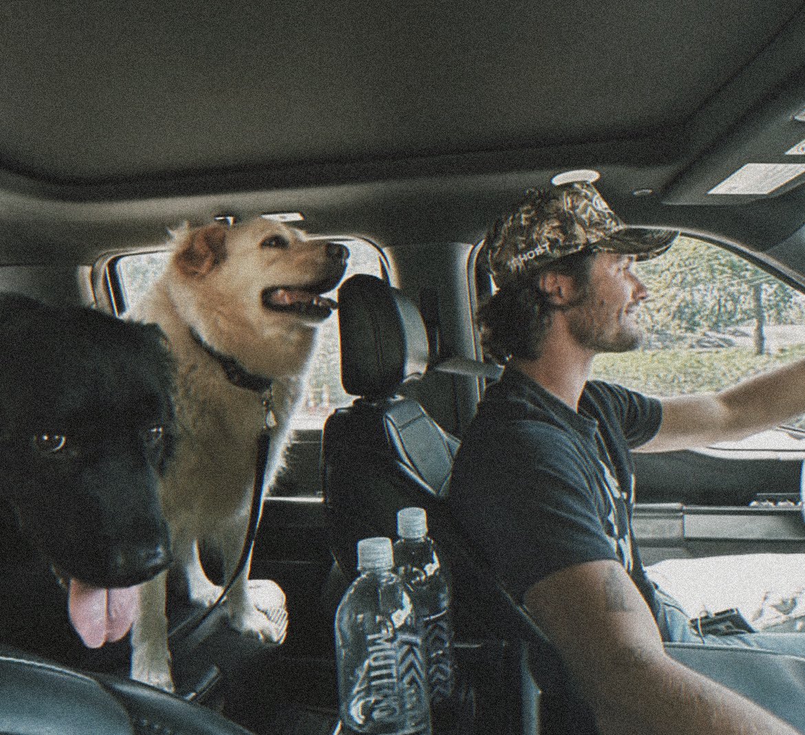 𝐫͟𝐡͟𝐞͟𝐭͟𝐭͟. tweet media