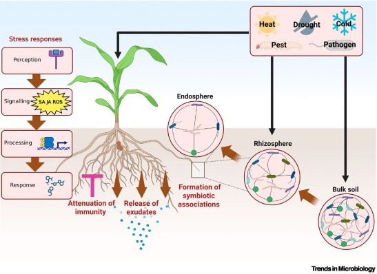Trends in Microbiology tweet media