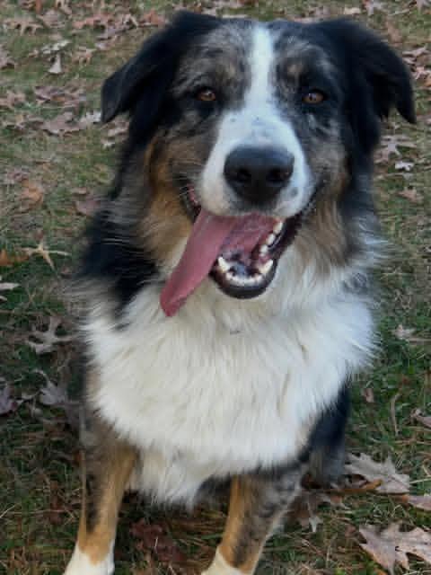 Ella🇺🇸 tweet media