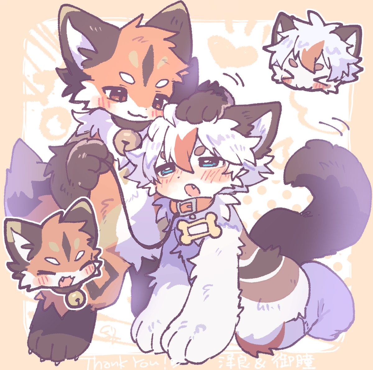 泽良的小猫窝🐱 tweet media