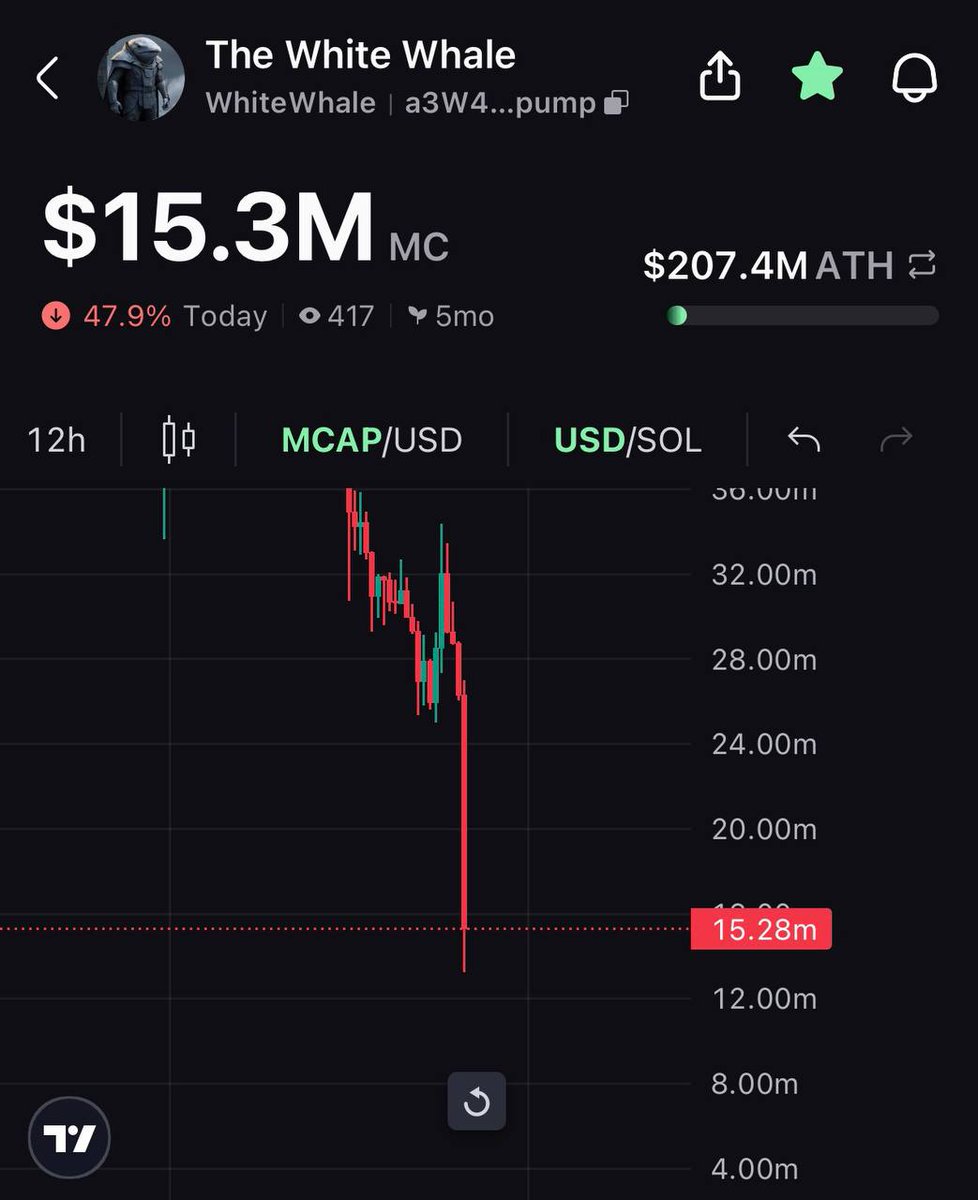 POΞ ⚡️ tweet media