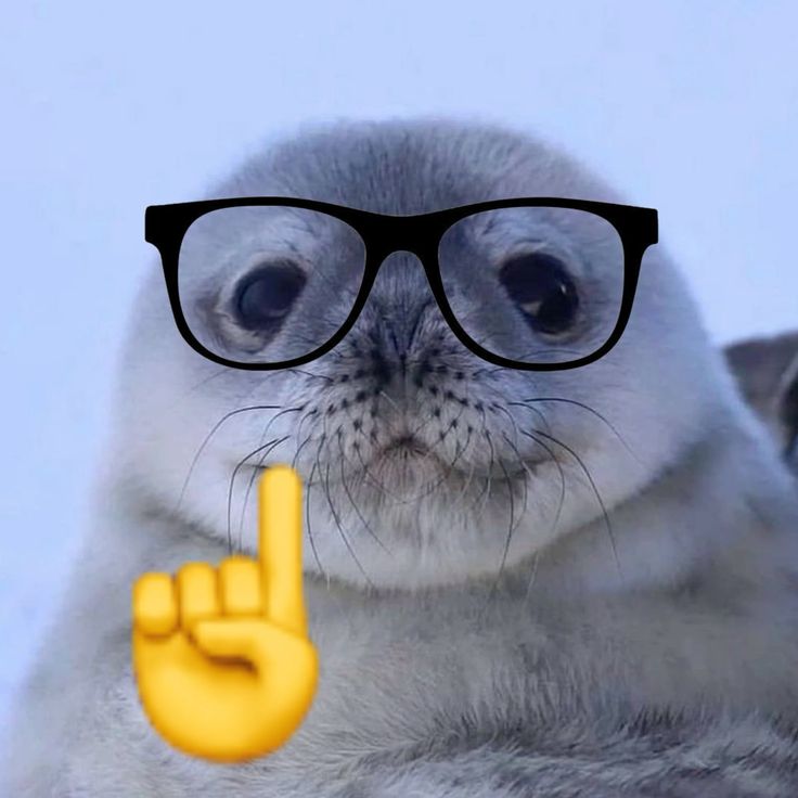 ᅠᅠᅠ𝐒mile ! ! ! 📸 🕷 tweet media