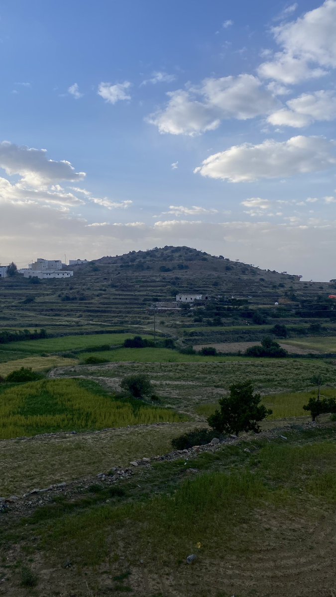 𝖬𝖺𝗇𝖺𝗋 𝖠𝗅𝗌𝗁𝖾𝗁𝗋𝗂 tweet media