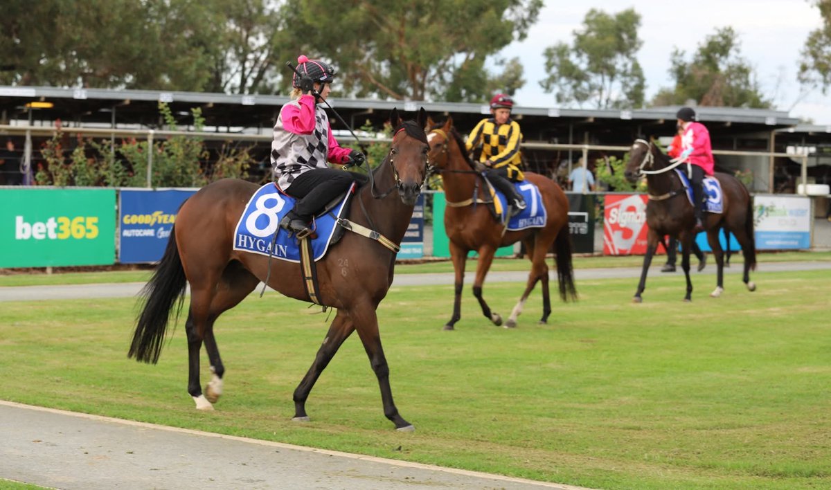 Weeding Racing tweet media