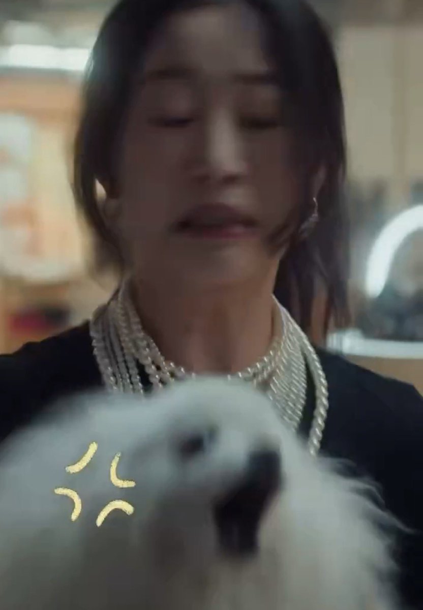 Auri 𝜗𝜚゚⊹ franchaela pilled tweet media