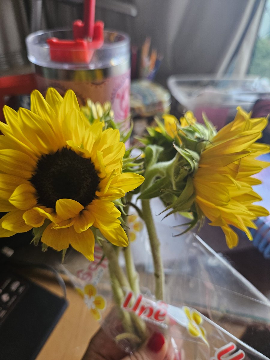 debs 🏒 tweet media