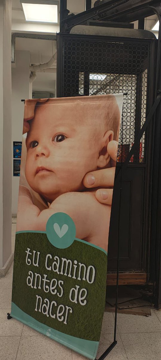 Fernando Secin tweet media