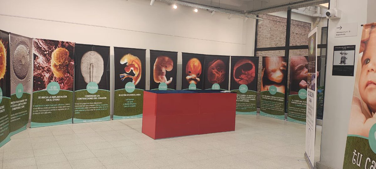 Fernando Secin tweet media