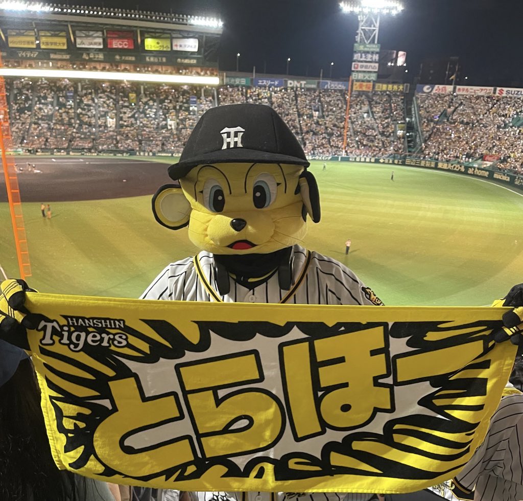 雅🐯っキー🐾 tweet media