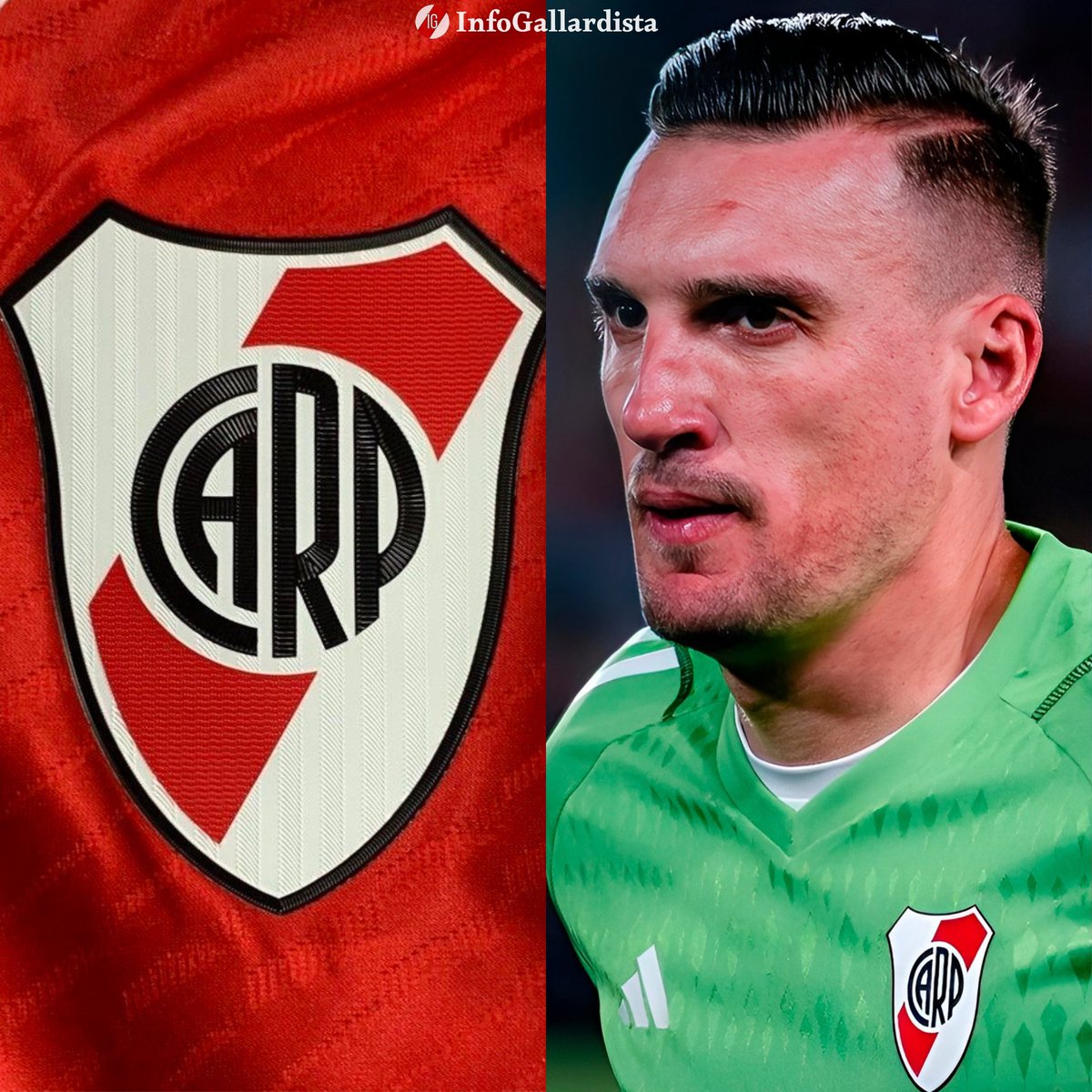 Info Gallardista tweet media