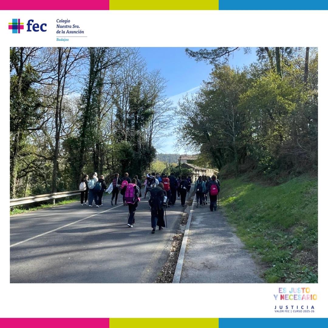 Ntra.S. Asunción FEC tweet media