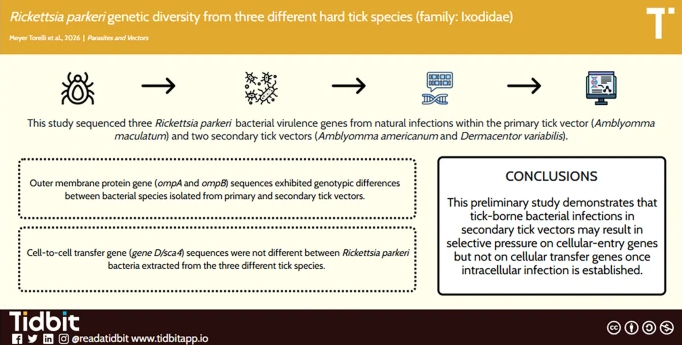 secvbd's tweet image. 🎊New article in press! Congratulations to our collaborators at the University of South Carolina and the University of North Carolina! Learn more about Torelli et al. 2026 and explore all SECVBD publications here sercoevbd-flgateway.org/publications

#lonestartick #tickborne #excellence