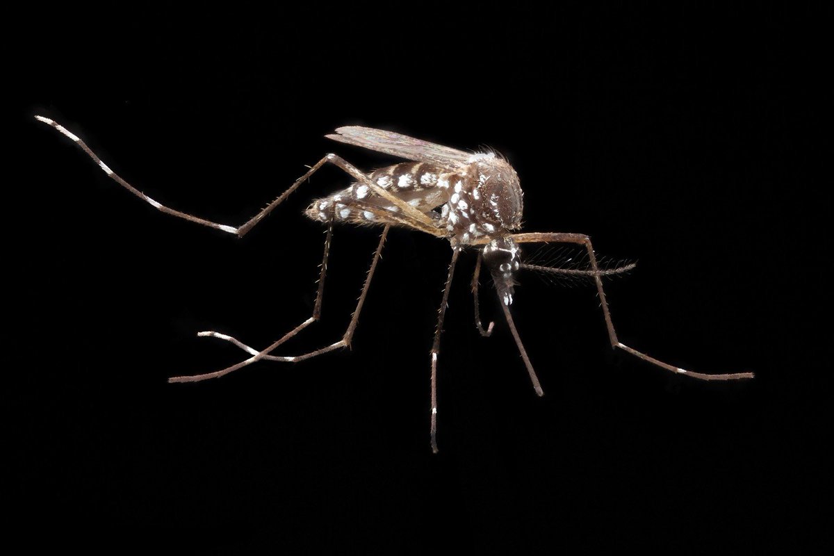 Dr. Petr Brož tweet media