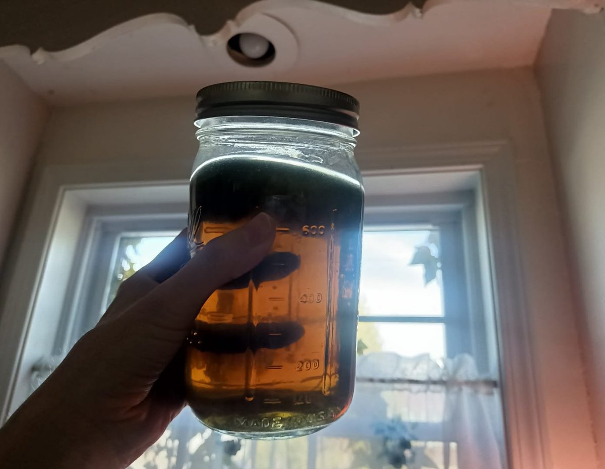 🦌🌲 tweet media